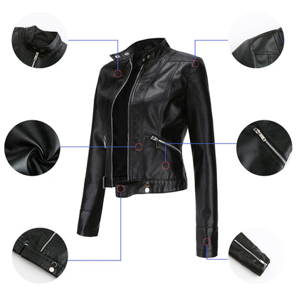 Women's Cropped Faux Leather Moto Jacket